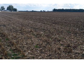 Property photo 35 - EHLE FARMS AUCTION - 118+/- ACRES IN 9 TRACTS IN ALLEN COUNTY, INDIANA